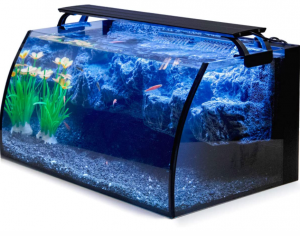 best nano aquarium