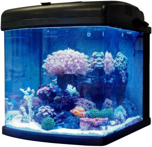 nano reef storage tank